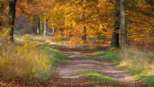 Herfstfoto