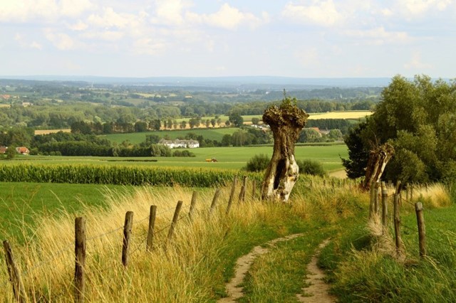 afbeelding 2 wandelnet brengt ode uit aan onverhard wandelen